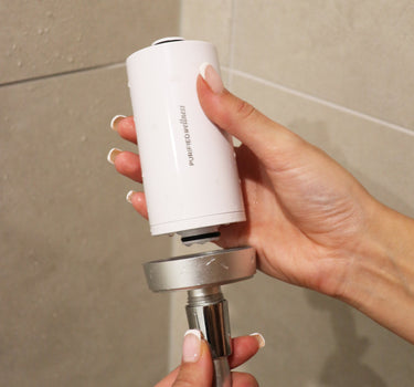 Purified Wellness Refill Capsule - 3 Month Supply